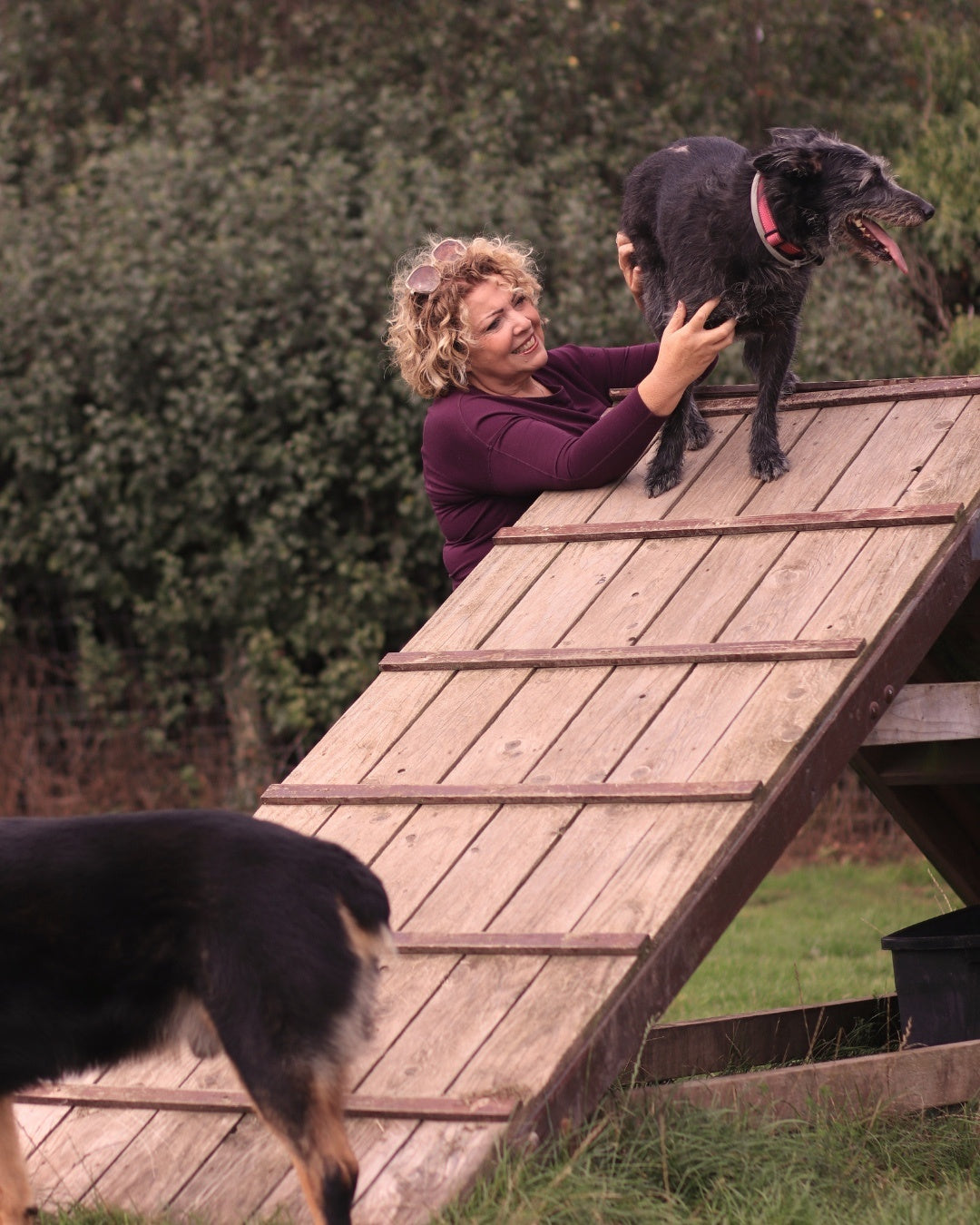 Woman with dogs outdoors representing CoreFoundation everyday health and healthy ageing